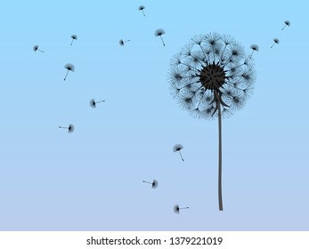 Dandelion background for your design. The wind blows dandelion seeds. Template for posters, wallpapers, cards. Vector illustration.