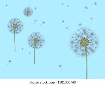 Dandelion background for your design. The wind blows dandelion seeds. Template for posters, wallpapers, cards. Vector illustration.