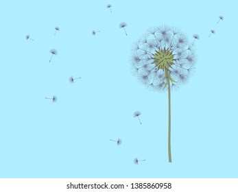 Dandelion background for your design. The wind blows dandelion seeds. Template for posters, wallpapers, cards. Vector illustration.
