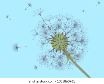 Dandelion background for your design. The wind blows dandelion seeds. Template for posters, wallpapers, cards. Vector illustration.