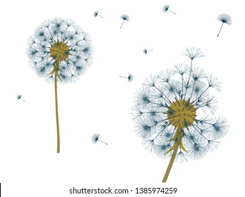 Dandelion background for your design. The wind blows dandelion seeds. Template for posters, wallpapers, cards. Vector illustration.