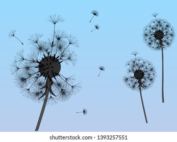 Dandelion background for your design. The wind blows dandelion seeds. Template for posters, wallpapers, cards. Vector illustration.