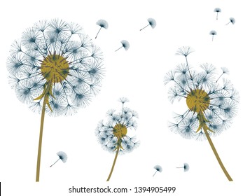Dandelion background for your design. The wind blows dandelion seeds. Template for posters, wallpapers, cards. Vector illustration.