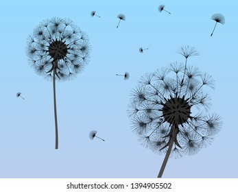 Dandelion background for your design. The wind blows dandelion seeds. Template for posters, wallpapers, cards. Vector illustration.