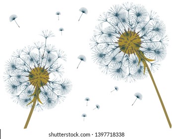 Dandelion background for your design. The wind blows dandelion seeds. Template for posters, wallpapers, cards. Vector illustration.