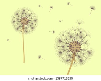 Dandelion background for your design. The wind blows dandelion seeds. Template for posters, wallpapers, cards. Vector illustration.