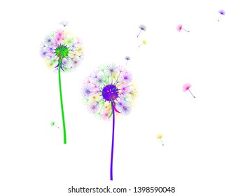 Dandelion background for your design. The wind blows dandelion seeds. Template for posters, wallpapers, cards. Vector illustration.