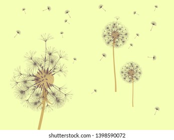 Dandelion background for your design. The wind blows dandelion seeds. Template for posters, wallpapers, cards. Vector illustration.
