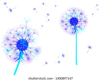 Dandelion background for your design. The wind blows dandelion seeds. Template for posters, wallpapers, cards. Vector illustration.