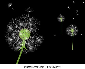 Dandelion background for your design. The wind blows dandelion seeds. Template for posters, wallpapers, cards. Vector illustration.