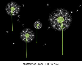 Dandelion background for your design. The wind blows dandelion seeds. Template for posters, wallpapers, cards. Vector illustration.