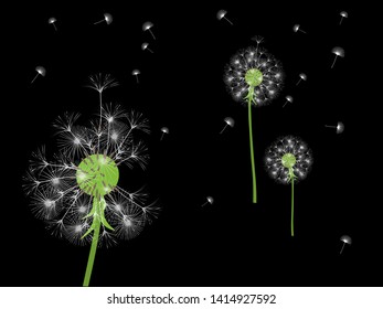 Dandelion background for your design. The wind blows dandelion seeds. Template for posters, wallpapers, cards. Vector illustration.