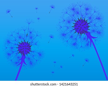 Dandelion background for your design. The wind blows dandelion seeds. Template for posters, wallpapers, cards. Vector illustration.