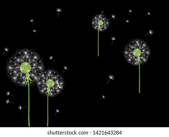 Dandelion background for your design. The wind blows dandelion seeds. Template for posters, wallpapers, cards. Vector illustration.