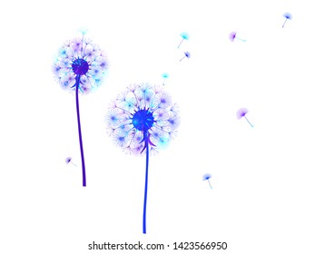 Dandelion background for your design. The wind blows dandelion seeds. Template for posters, wallpapers, cards. Vector illustration.