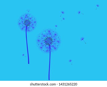 Dandelion background for your design. The wind blows dandelion seeds. Template for posters, wallpapers, cards. Vector illustration.