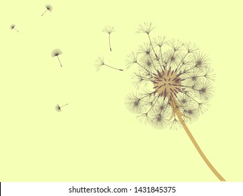 Dandelion background for your design. The wind blows dandelion seeds. Template for posters, wallpapers, cards. Vector illustration.