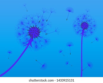 Dandelion background for your design. The wind blows dandelion seeds. Template for posters, wallpapers, cards. Vector illustration.