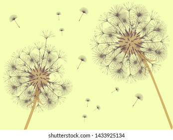 Dandelion background for your design. The wind blows dandelion seeds. Template for posters, wallpapers, cards. Vector illustration.