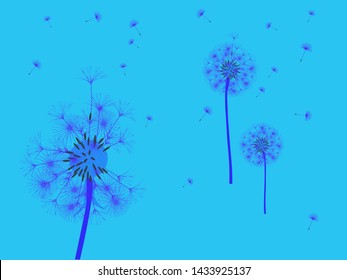 Dandelion background for your design. The wind blows dandelion seeds. Template for posters, wallpapers, cards. Vector illustration.