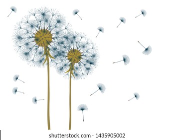 Antecedentes de Dandelion para tu diseño. El viento sopla semillas de león. Plantilla para carteles, fondos de pantalla, tarjetas. Ilustración vectorial.