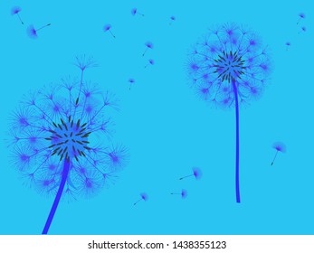 Dandelion background for your design. The wind blows dandelion seeds. Template for posters, wallpapers, cards. Vector illustration.