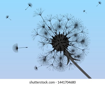 Dandelion background for your design. The wind blows dandelion seeds. Template for posters, wallpapers, cards. Vector illustration.