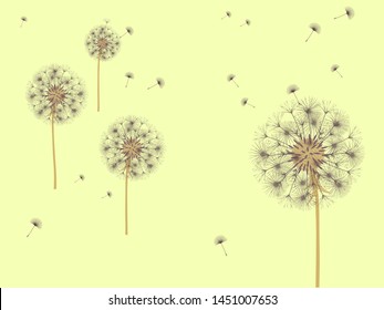 Dandelion background for your design. The wind blows dandelion seeds. Template for posters, wallpapers, cards. Vector illustration.