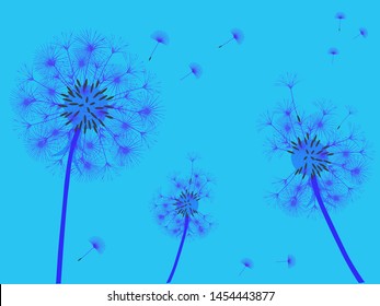 Dandelion background for your design. The wind blows dandelion seeds. Template for posters, wallpapers, cards. Vector illustration.