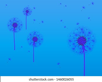 Antecedentes de Dandelion para tu diseño. El viento sopla semillas de león. Plantilla para carteles, fondos de pantalla, tarjetas. Ilustración vectorial.