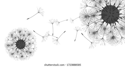 Dandelion background for your design. The wind blows dandelion seeds. Natural background. Advertising flyer brochure. Vector template.