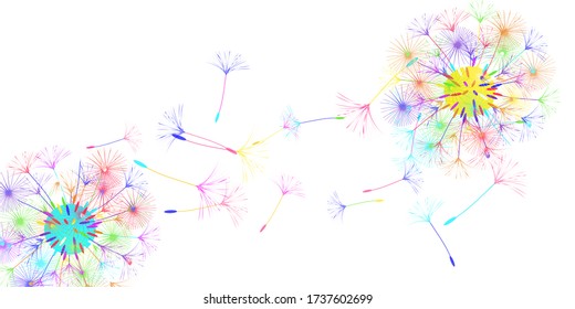 Dandelion background for your design. The wind blows dandelion seeds. Floral background. Advertising flyer brochure. Vector template.