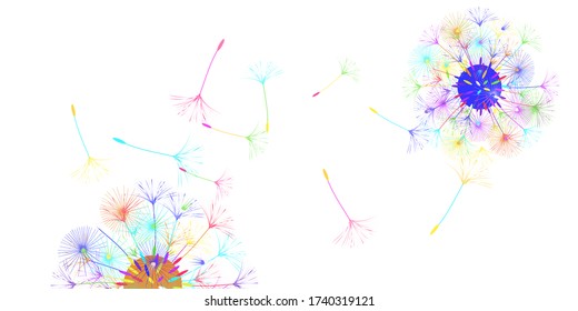 Dandelion background for your design. The wind blows dandelion seeds. Natural background. Brochure creative design. Vector template.
