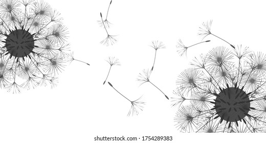 Dandelion background for your design. The wind blows dandelion seeds. Natural background. Advertising flyer brochure. Vector template.