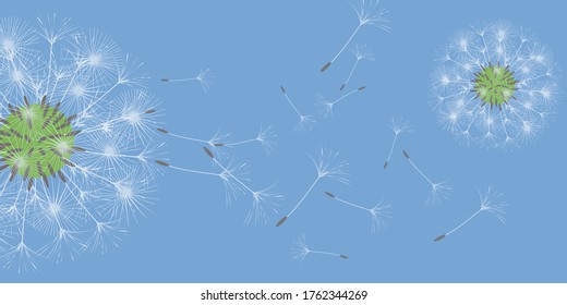 Antecedentes de Dandelion para tu diseño. El viento sopla semillas de león. Fondo natural. Folleto del folleto publicitario. Plantilla de vectores.
