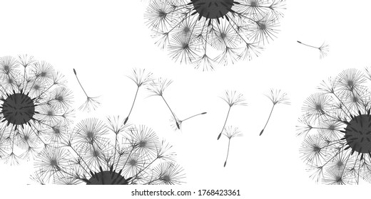 Dandelion background for your design. The wind blows dandelion seeds. Floral background. Brochure creative design. Vector template.