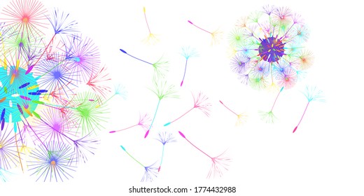 Antecedentes de Dandelion para tu diseño. El viento sopla semillas de león. Fondo natural. Folleto del folleto publicitario. Plantilla de vectores.