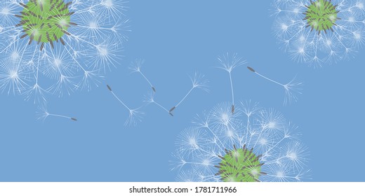 Dandelion background for your design. The wind blows dandelion seeds. Floral background. Advertising flyer brochure. Vector template.