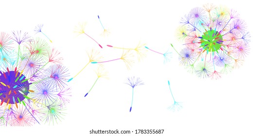 Dandelion background for your design. The wind blows dandelion seeds. Floral background. Brochure creative design. Vector template.