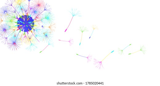 Dandelion background for your design. The wind blows dandelion seeds. Floral background. Brochure creative design. Vector template.