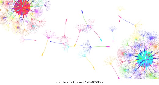 Dandelion background for your design. The wind blows dandelion seeds. Natural background. Brochure creative design. Vector template.