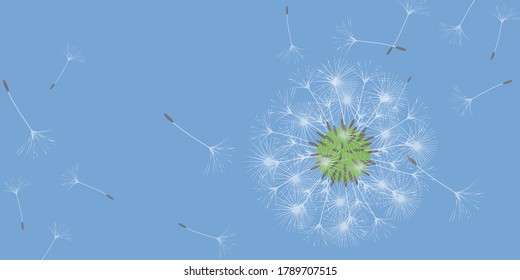 Dandelion background for your design. The wind blows dandelion seeds. Natural background. Advertising flyer brochure. Vector template.