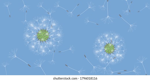 Dandelion background for your design. The wind blows dandelion seeds. Natural background. Advertising flyer brochure. Vector template.