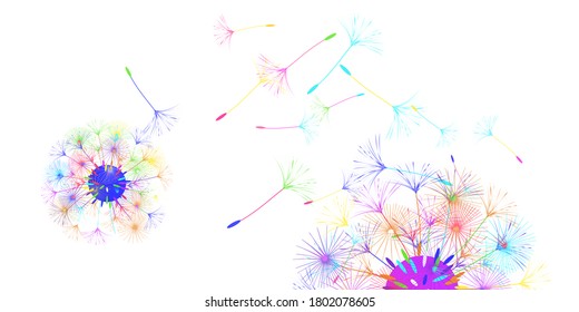 Dandelion background for your design. The wind blows dandelion seeds. Floral background. Brochure creative design. Vector template.