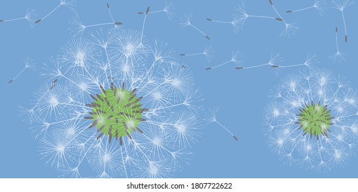 Antecedentes de Dandelion para tu diseño. El viento sopla semillas de león. Fondo floral. Diseño creativo de folleto. Plantilla de vectores.