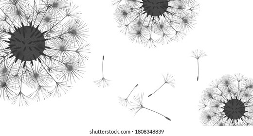 Dandelion background for your design. The wind blows dandelion seeds. Natural background. Advertising flyer brochure. Vector template.