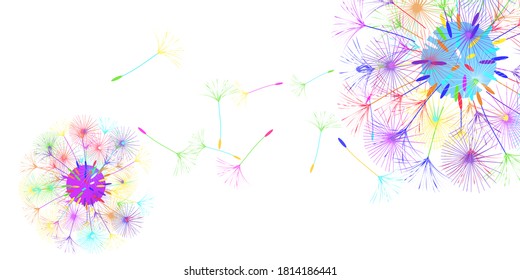 Dandelion background for your design. The wind blows dandelion seeds. Natural background. Advertising flyer brochure. Vector template.