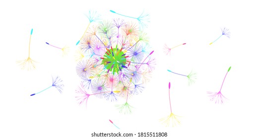 Dandelion background for your design. The wind blows dandelion seeds. Natural background. Advertising flyer brochure. Vector template.