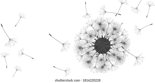 Dandelion background for your design. The wind blows dandelion seeds. Natural background. Advertising flyer brochure. Vector template.