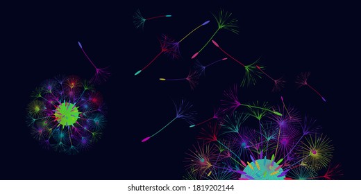 Dandelion background for your design. The wind blows dandelion seeds. Floral background. Brochure creative design. Vector template.